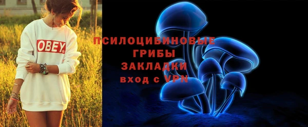 прущий лед Верея