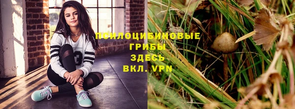 крисы Верхнеуральск