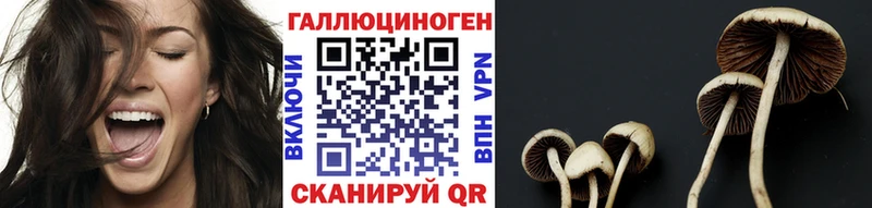 цена наркотик  Кашин  kraken tor  Псилоцибиновые грибы мицелий 