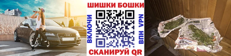 Конопля гибрид  Кашин 